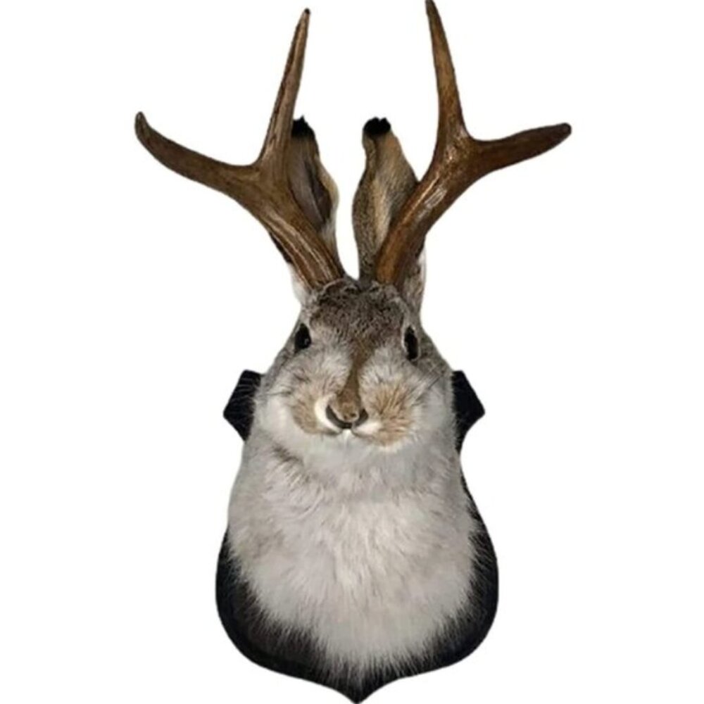 Jackalope Resin Wall Mount – Retro Deer Head Wall Sculpture